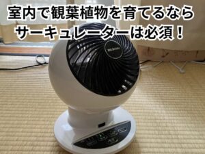 サーキュレーター